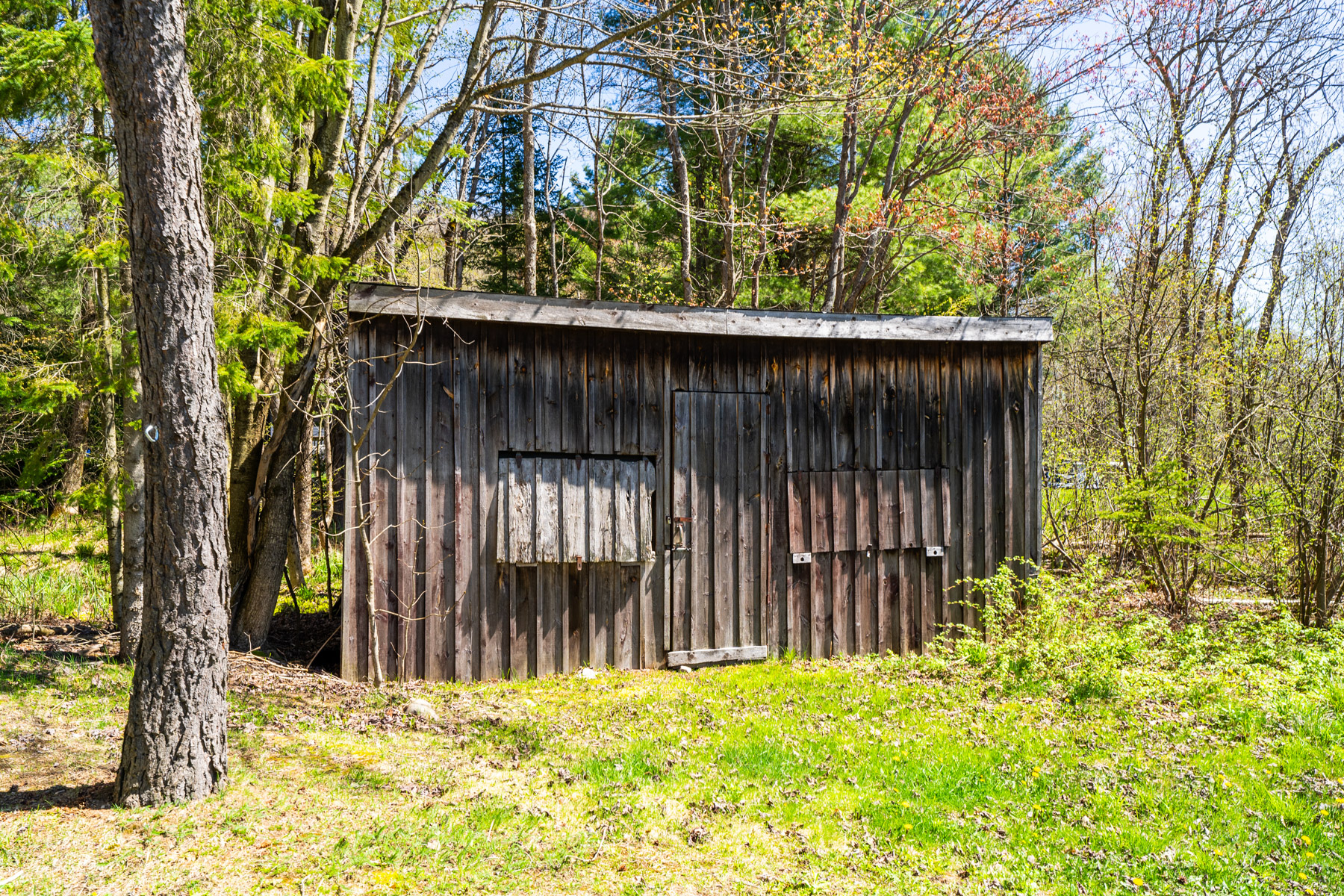 A wood-panelled shed on the grass, nestled in front of trees