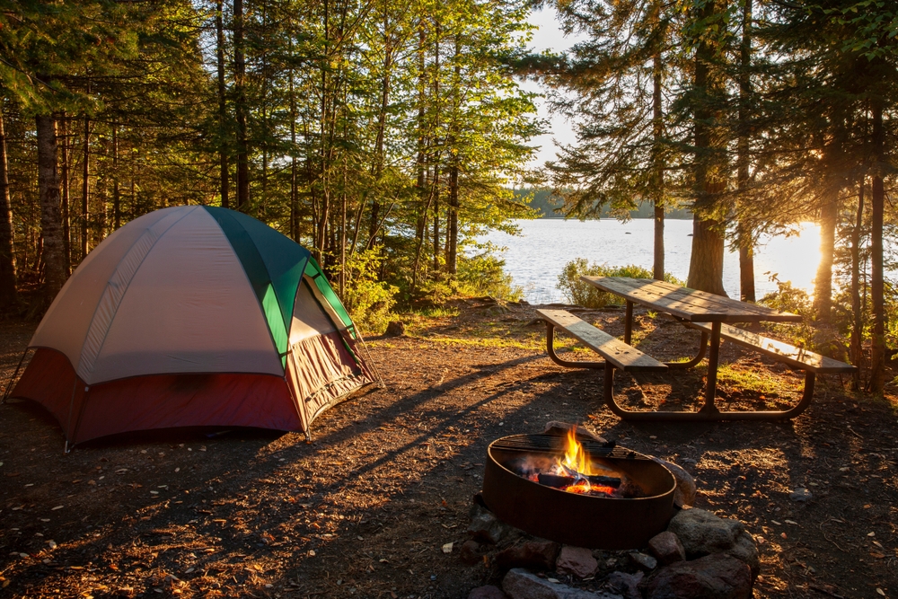 Tent, campfire and picnic bench surrounded by trees