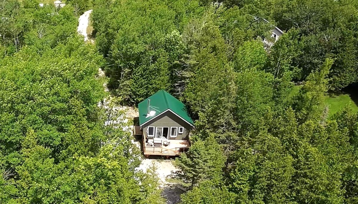 a photo of a cottage surrounded by green trees