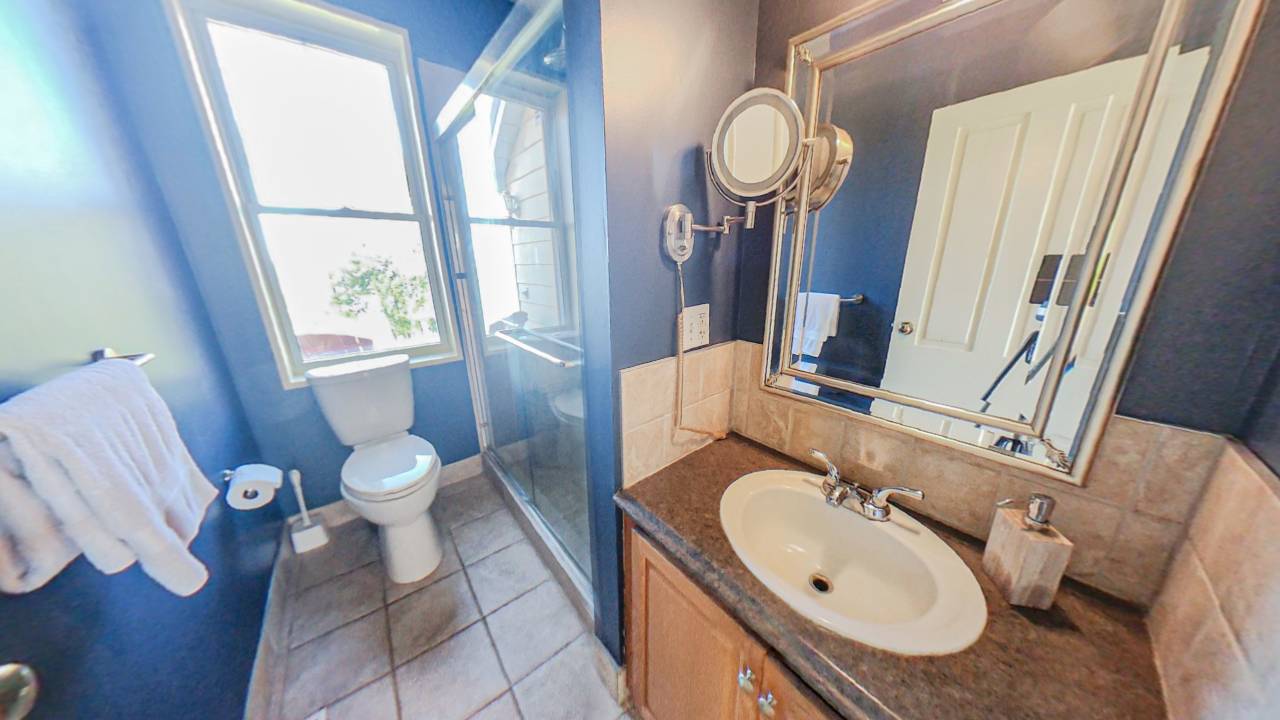 A white toilet next to a shower. Closer, a vanity with a sink and mirror