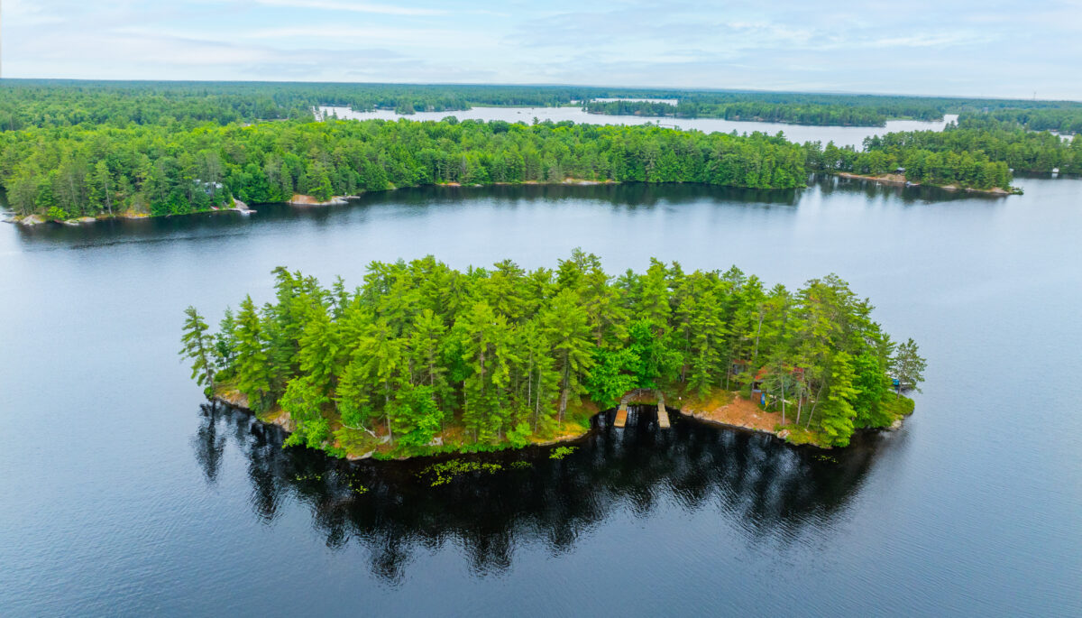 Aerial view of an island with lush green trees