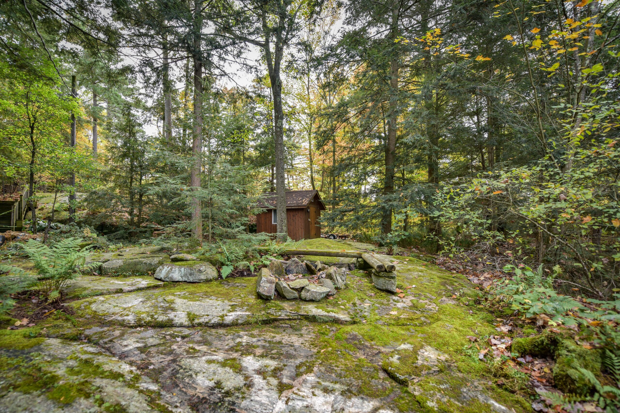 A moss-covered fire pit in a green forest