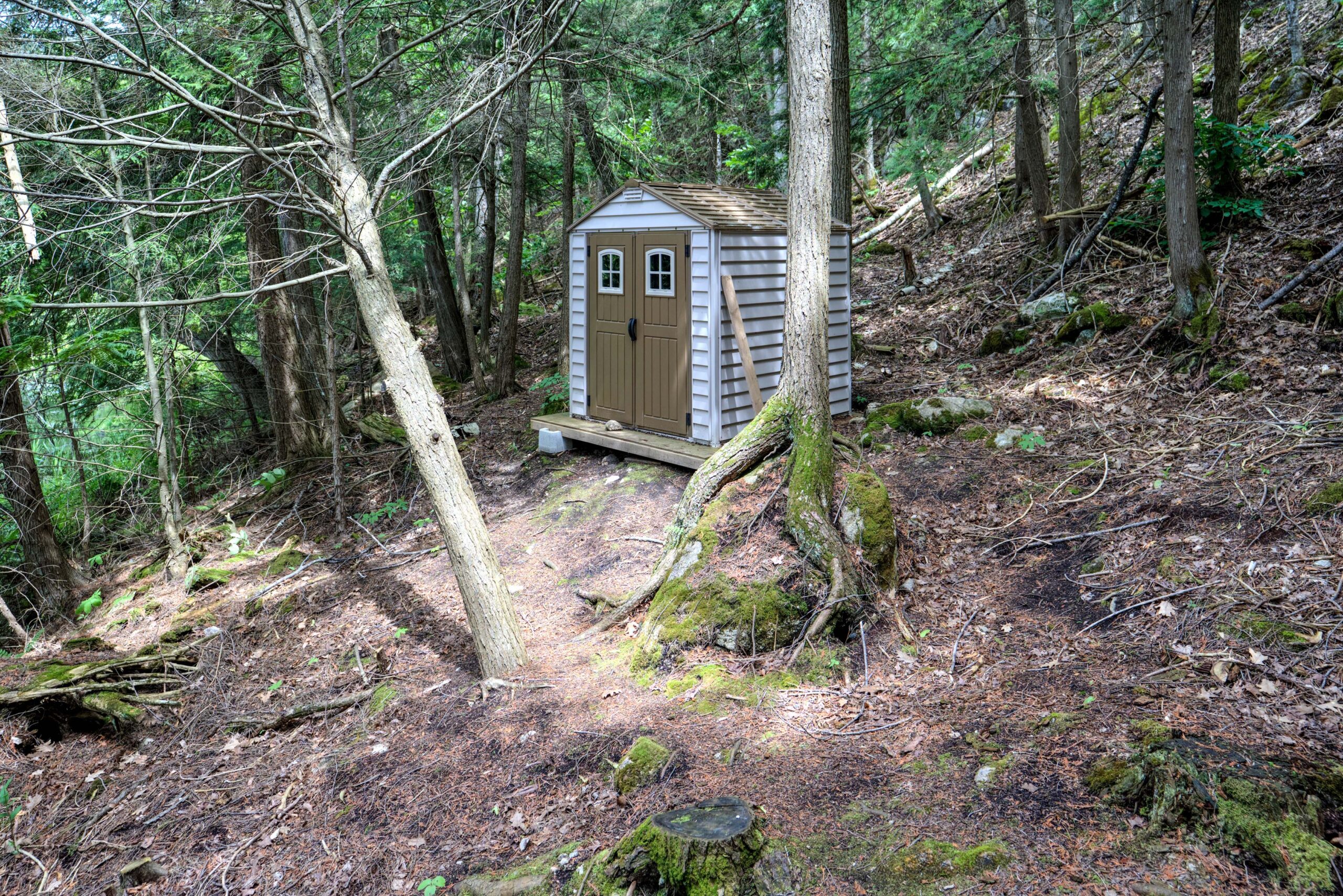 A small wood shed in the forest