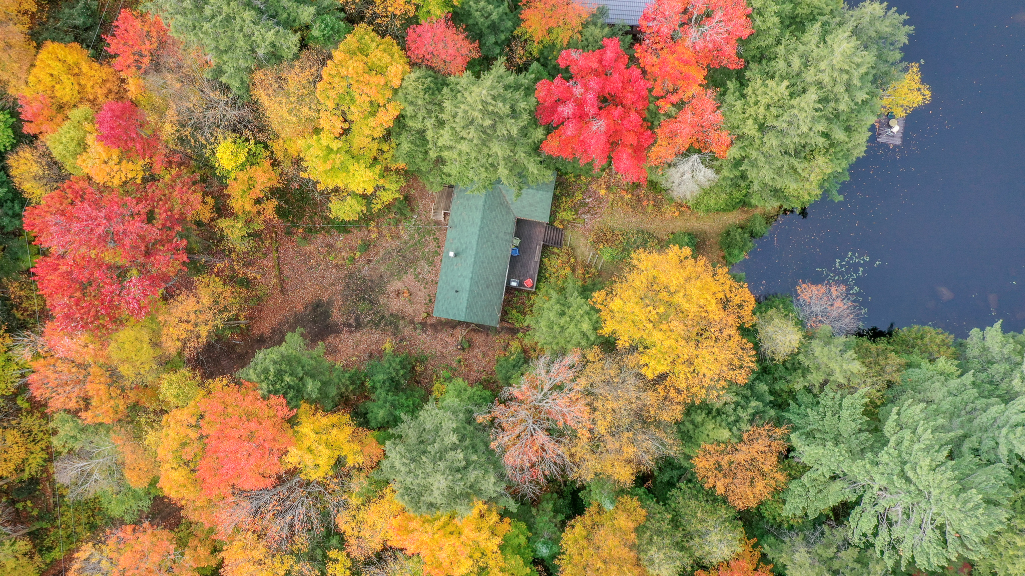 Aerial view of a green-roofed cottage surrounded by fall foliage