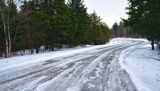 a slushy road in the forest