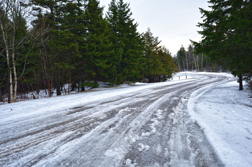 a slushy road in the forest