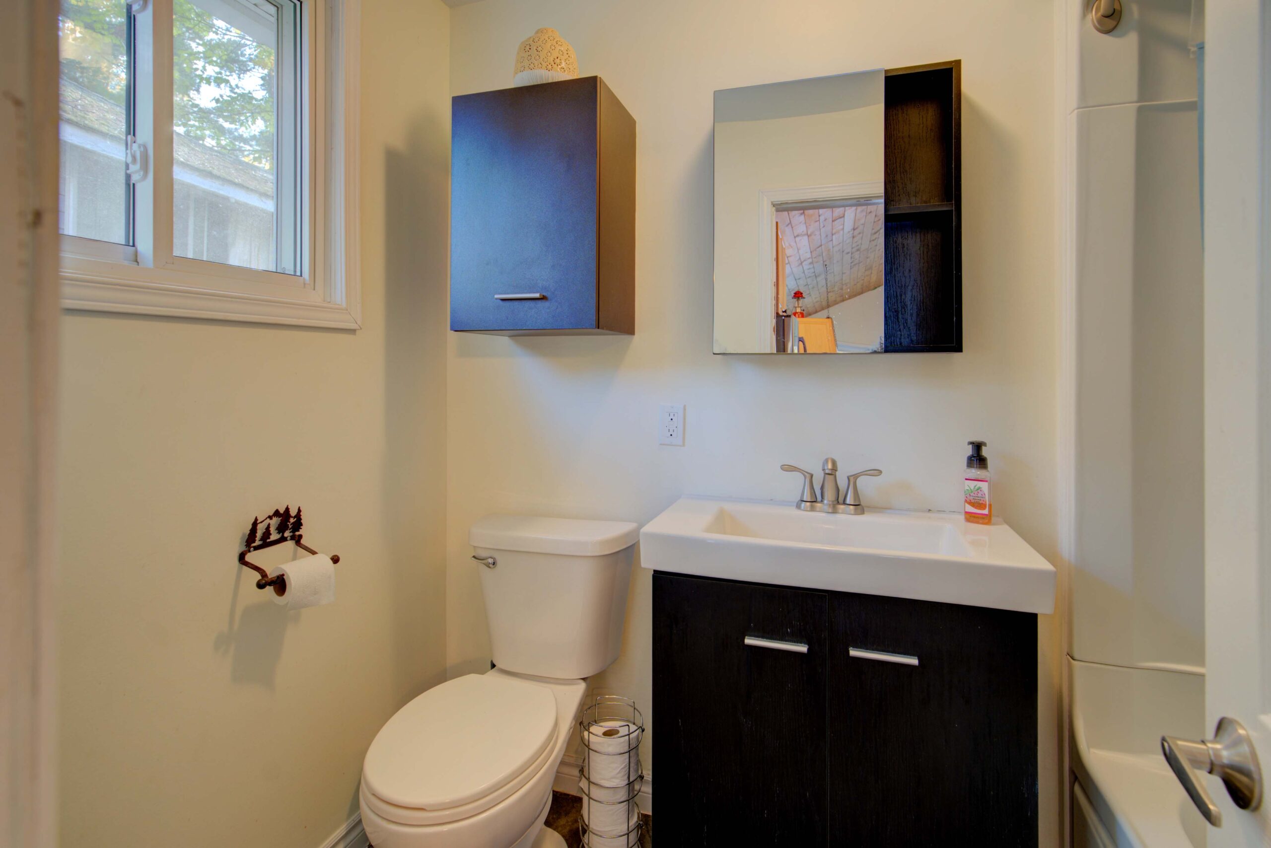 a white toilet next to a black bathroom vanity