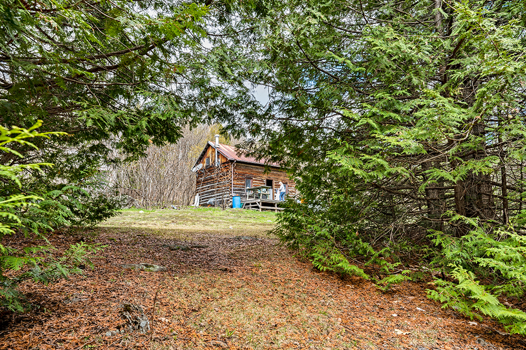 A log cabin partially hidden by trees
