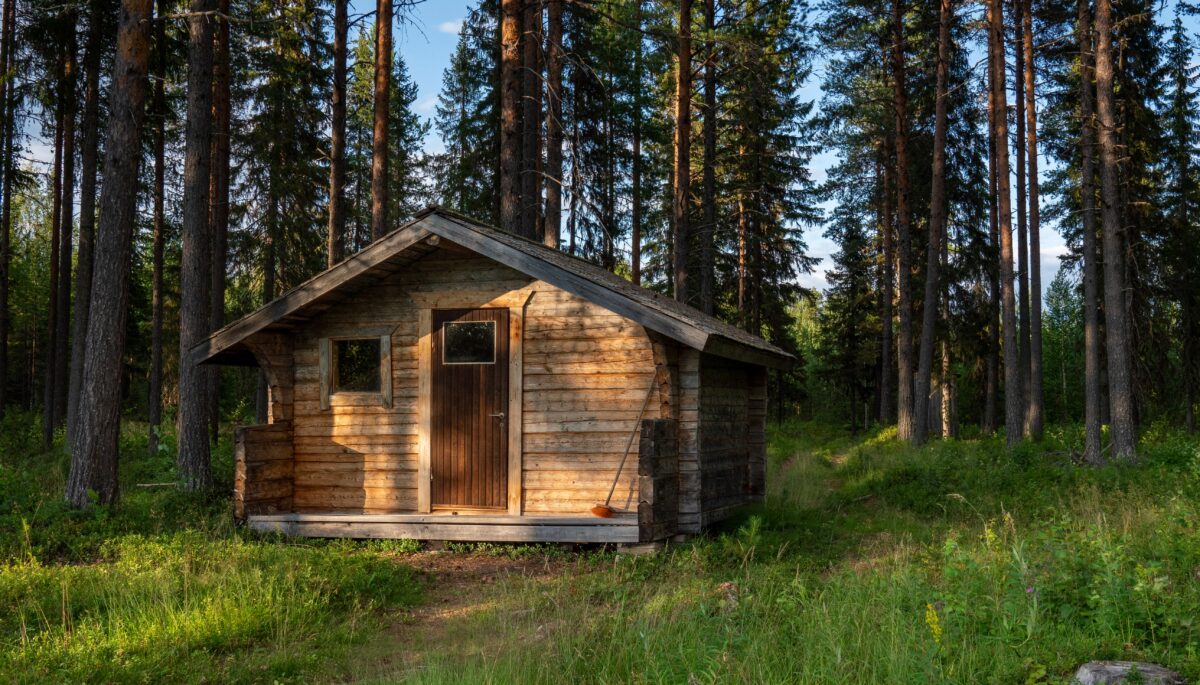 a rustic cabin in the woods