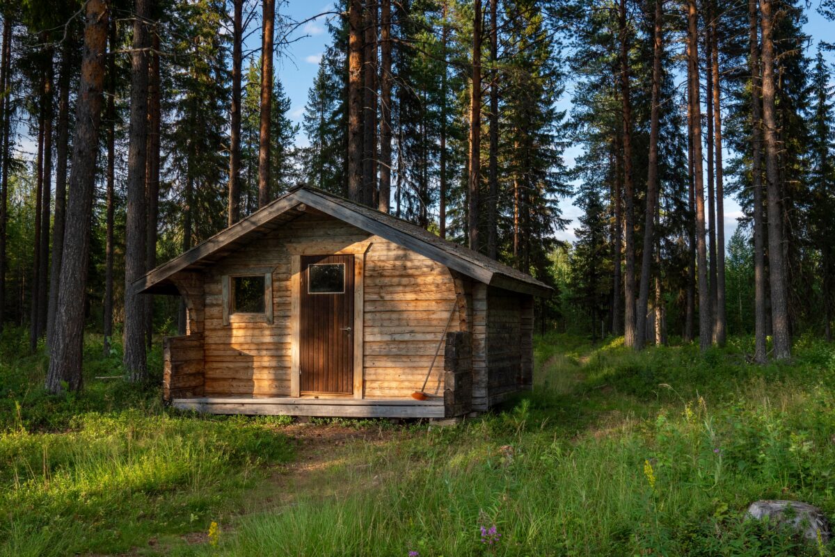 a rustic cabin in the woods