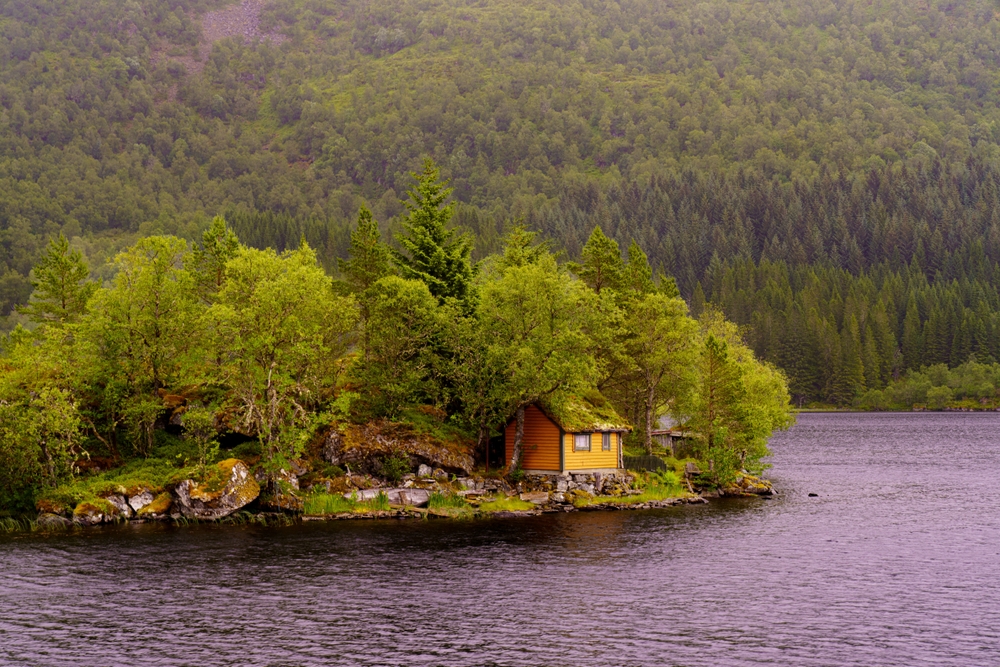 A cabin nestled among trees on an island