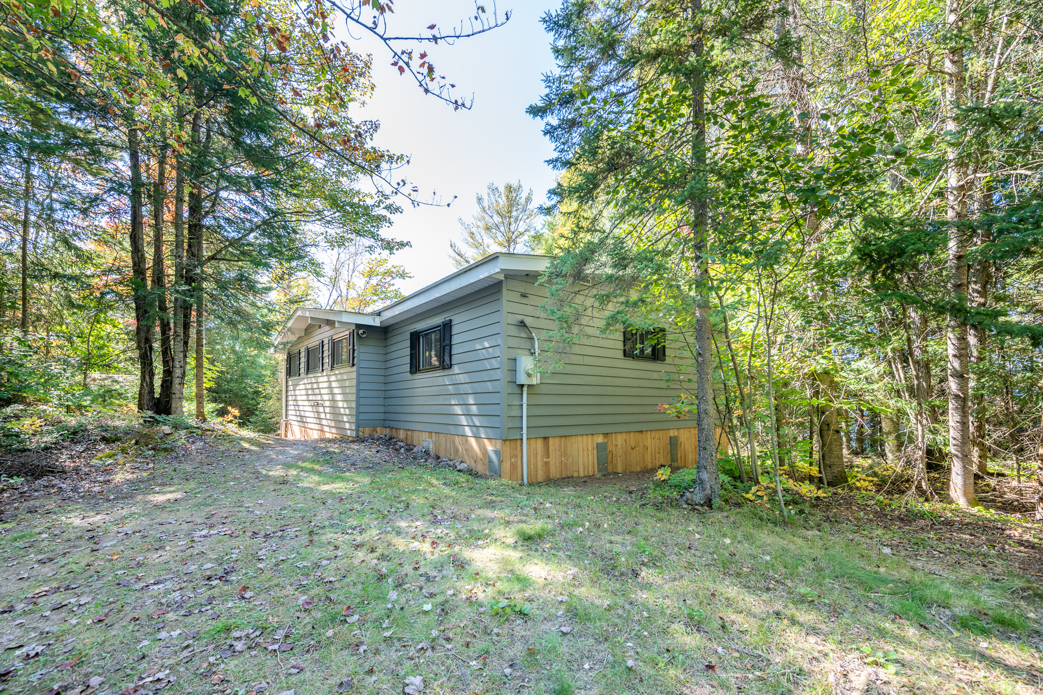 A light green paneled cottage in a grassy forest