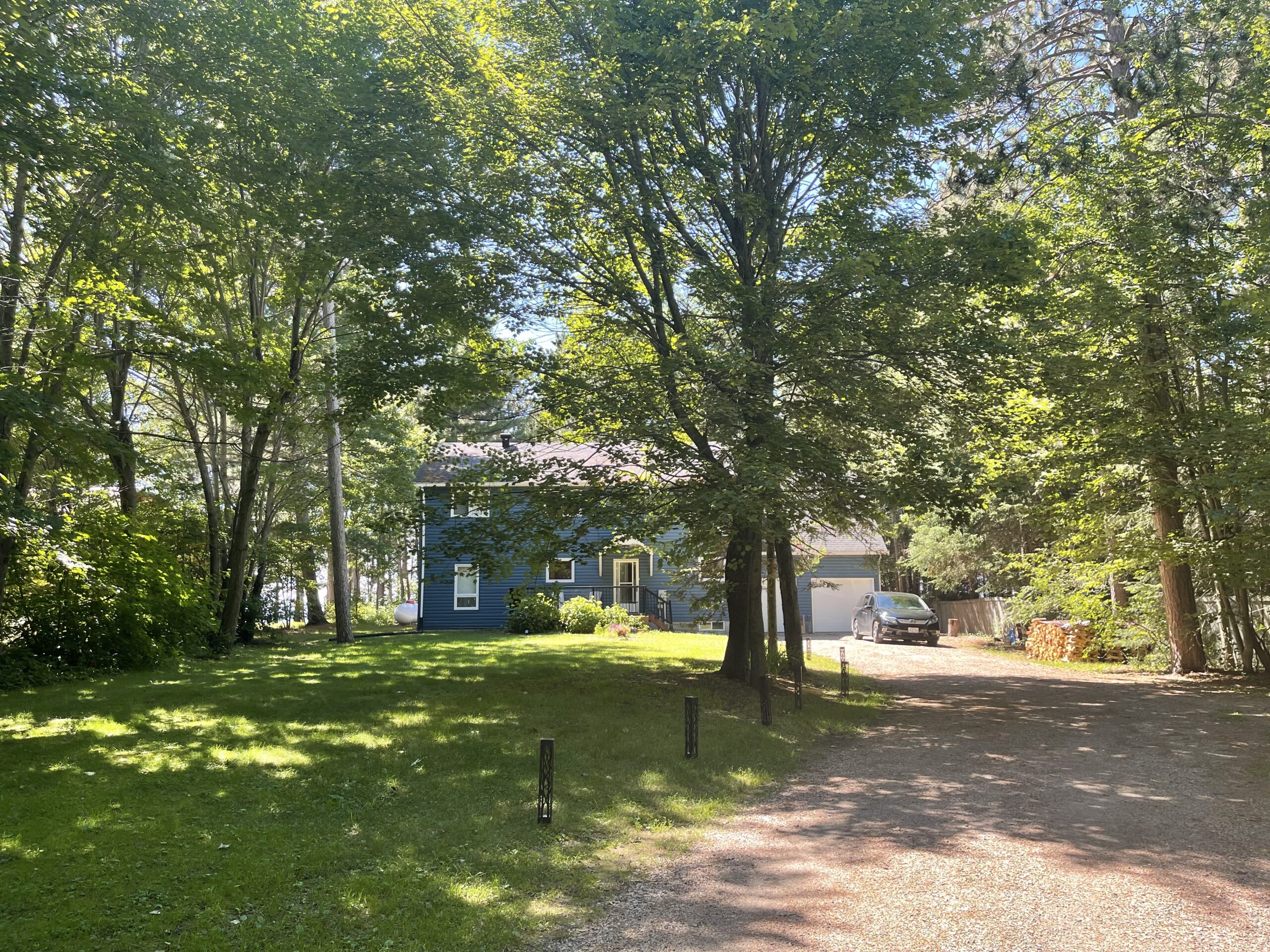 a blue cottage among a forest of trees