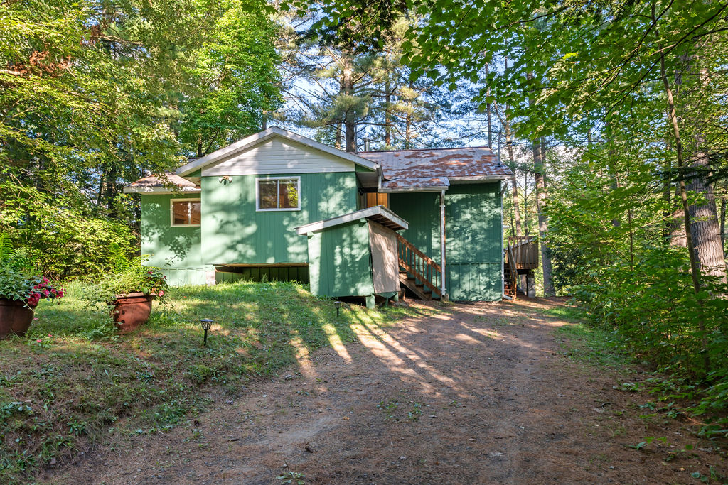 A small green paneled cottage in the forest