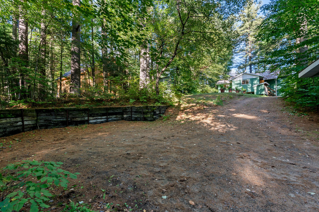 A spacious driveway in the forest