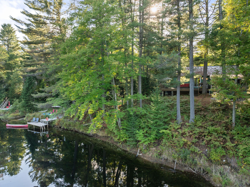 A small teal cottage is partially hidden behind green trees in a forest.