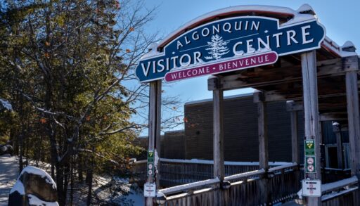 Provincial Park in Winter