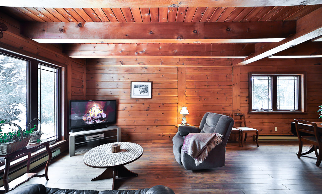 A small couch faces a TV in a wood-paneled room