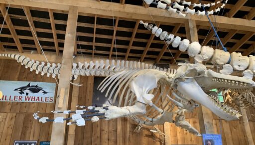 Whale Interpretive Centre