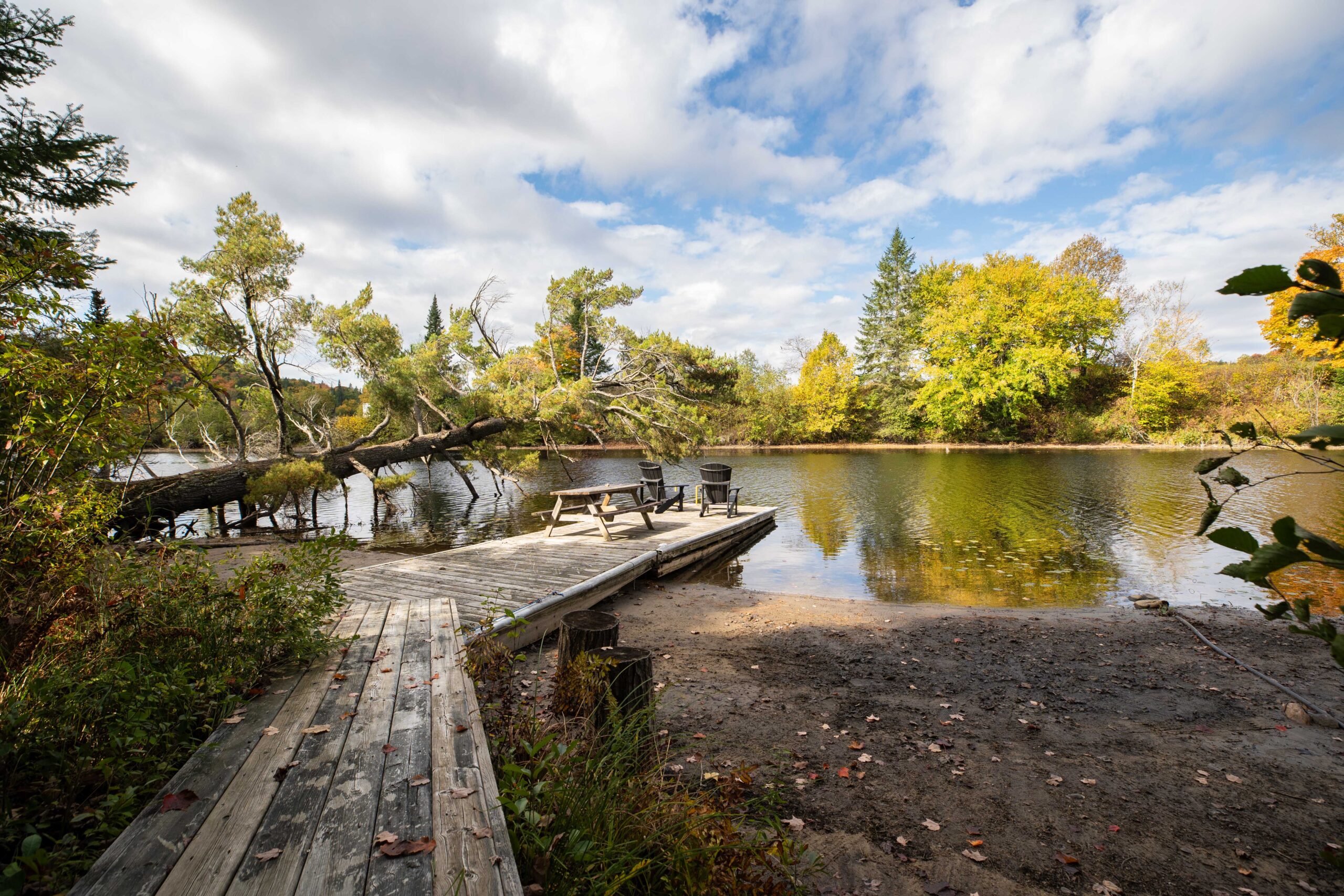 A dock leads out into a green-tinged river