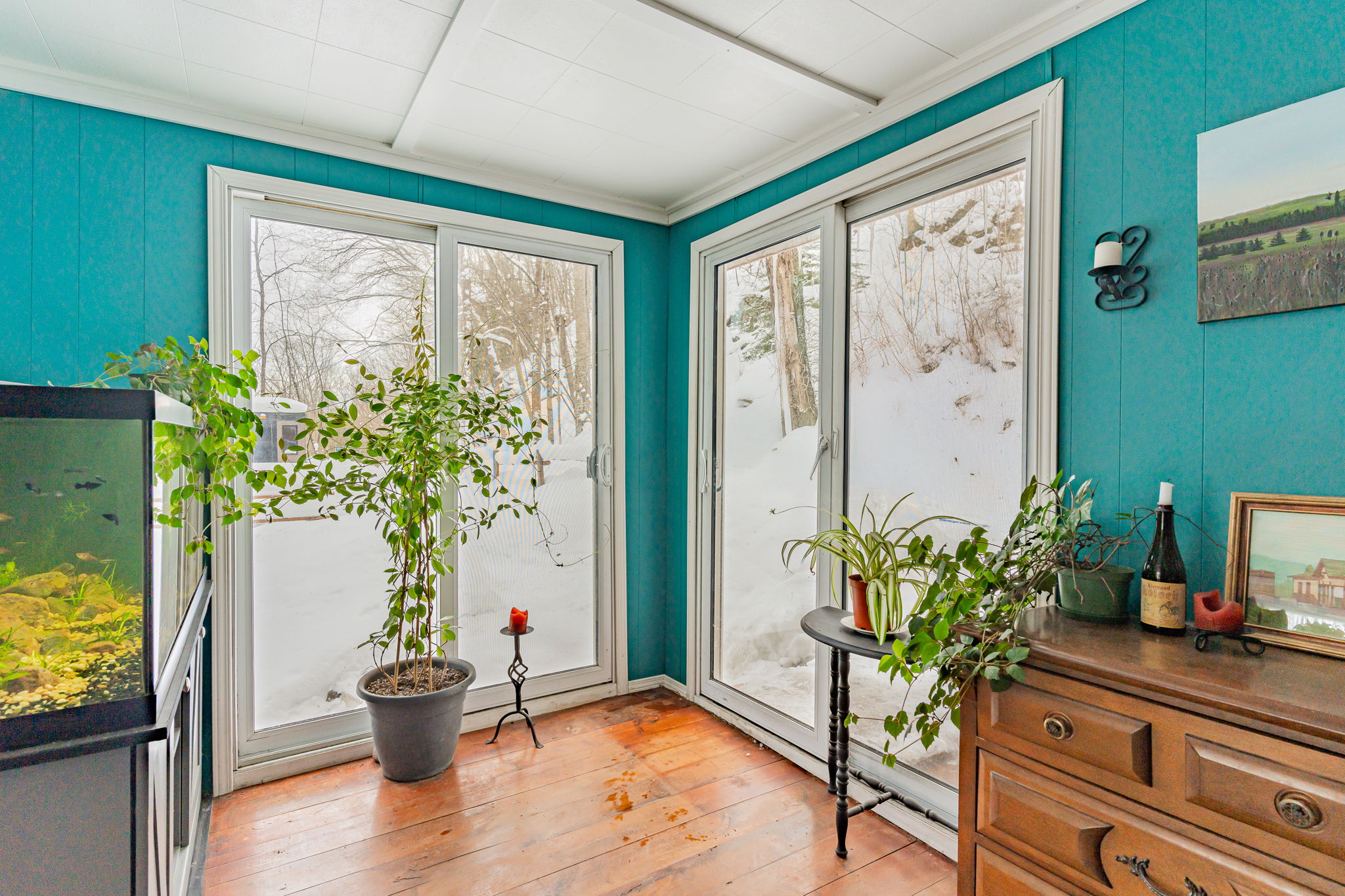 A corner in the teal room has sliding glass doors to the snowy outdoors