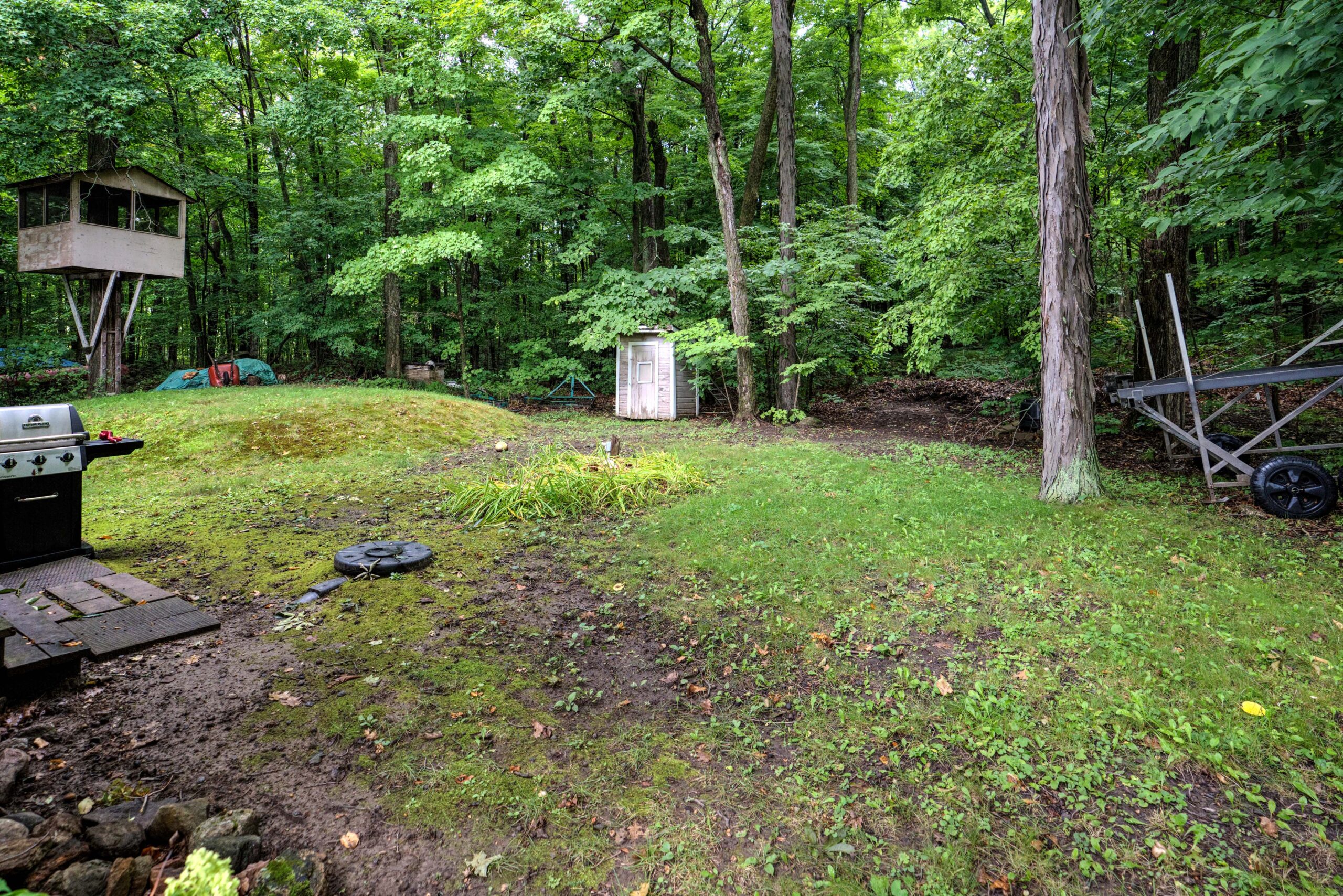A grassy lawn with a small wood shed