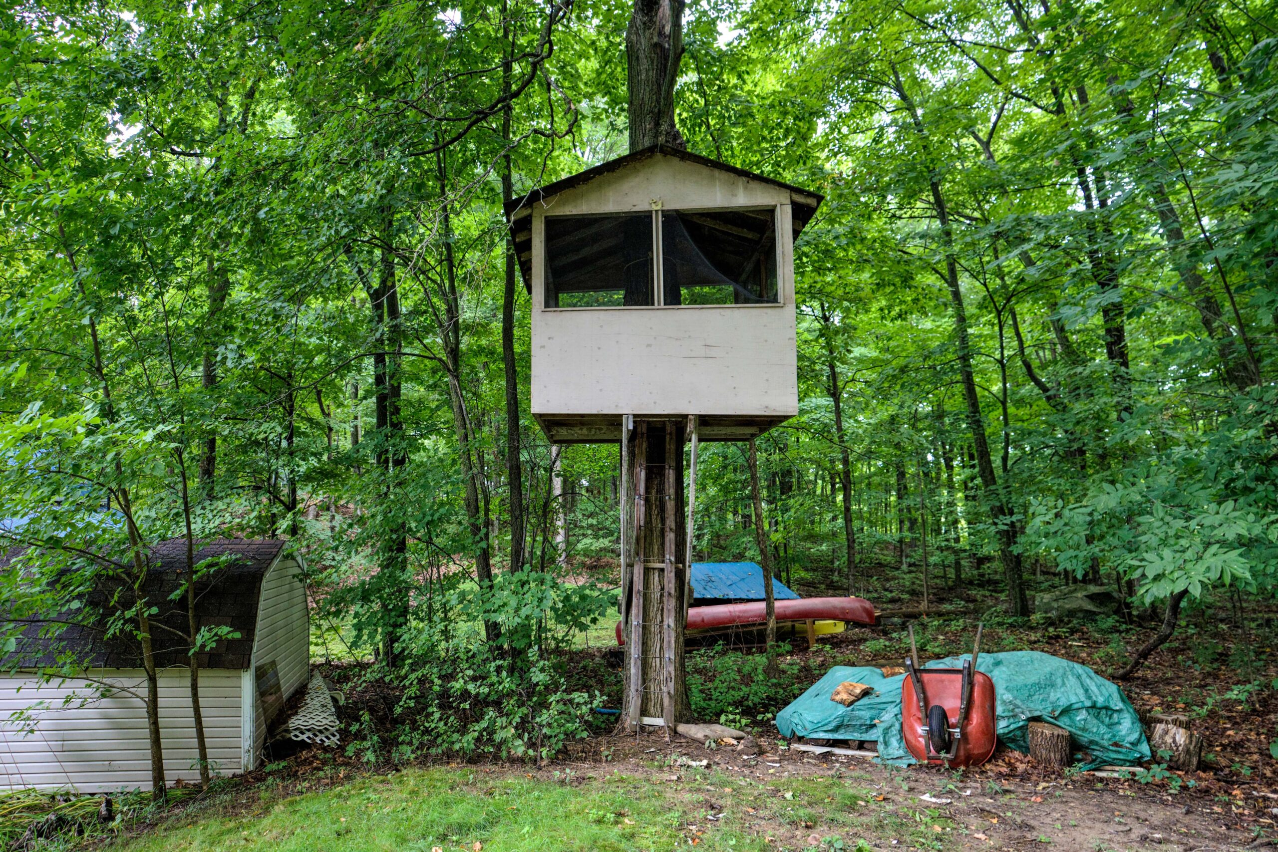 A beige treehouse hangs halfway up a tall tree in a forest