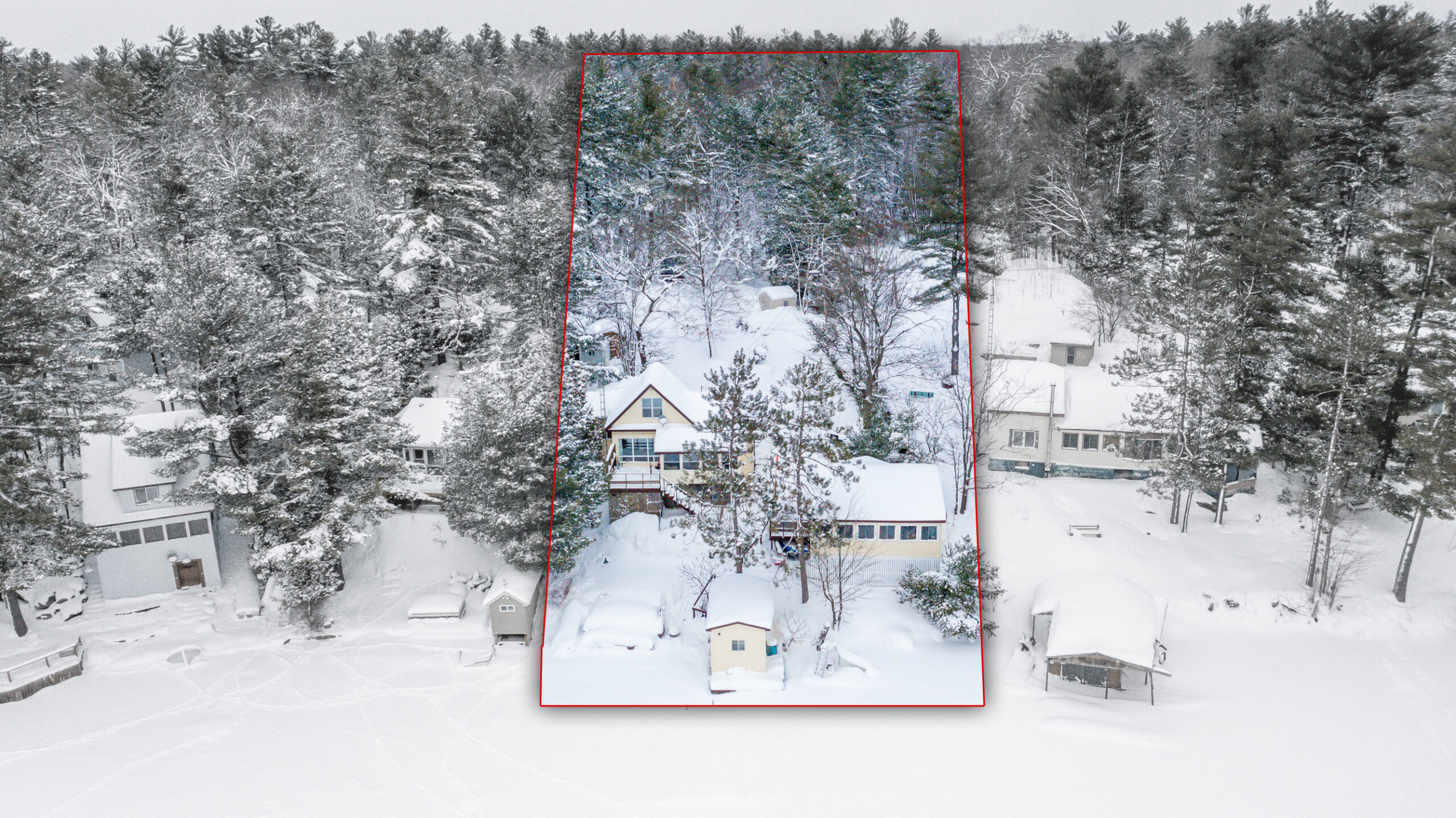 An aerial view of the property, showing its expansive 1.02-acre lot, surrounded by tall trees for added privacy and natural beauty.