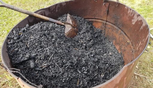 biochar in a can with a shovel. charcoal for use as fertilizer in the vegetable garden