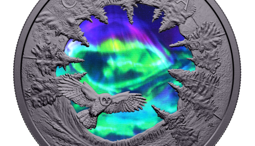 A collector coin featuring the northern lights, a great grey owl, and wilderness landscape