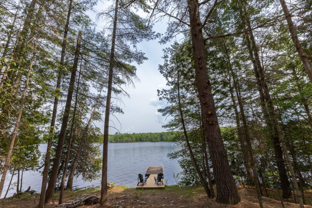 A dock framed by tall trees juts out into the lake