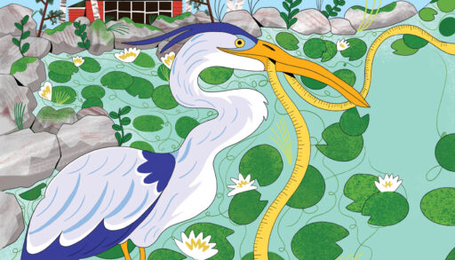 Illustration of a white bird holding yellow rope in its beak