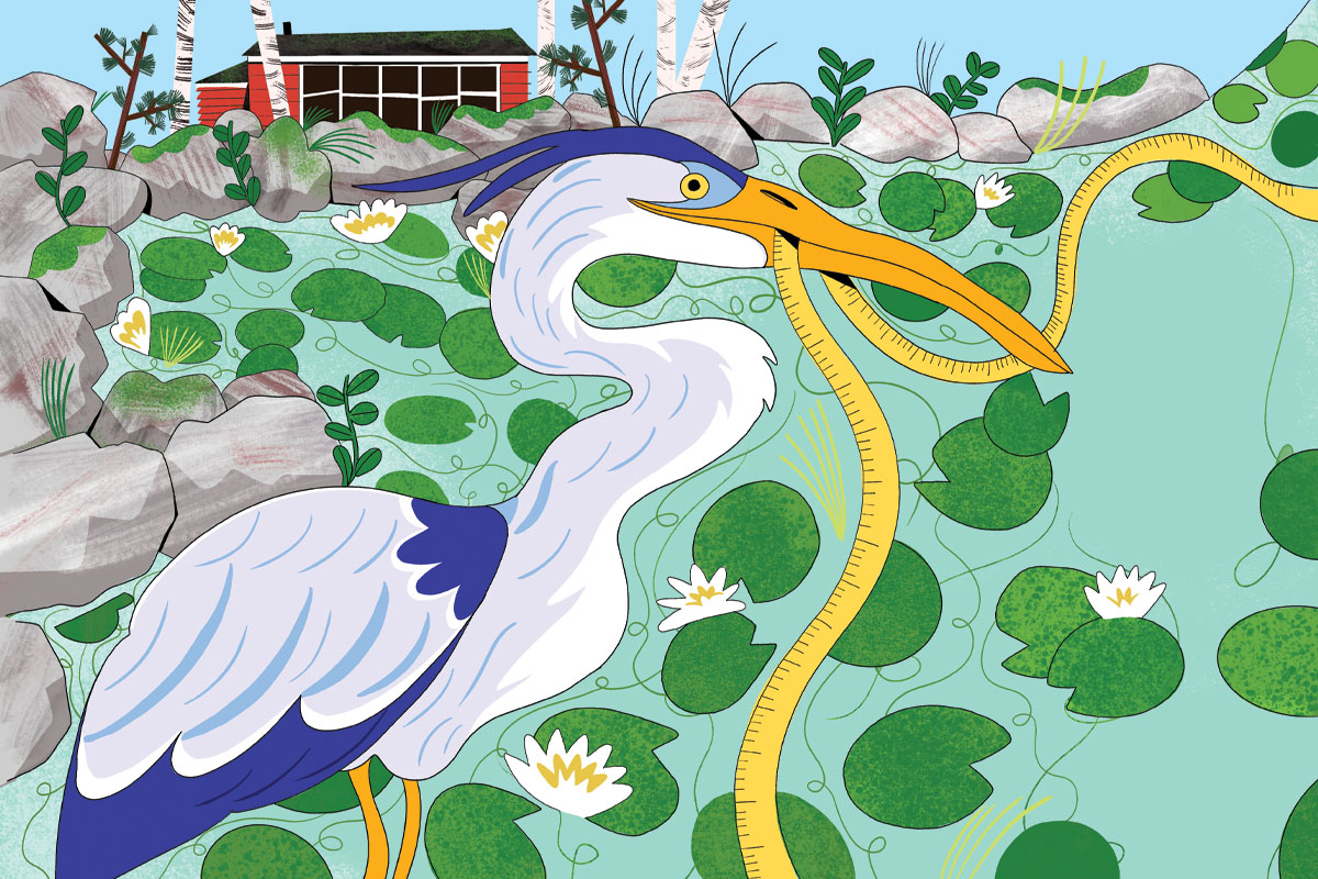 Illustration of a white bird holding yellow rope in its beak