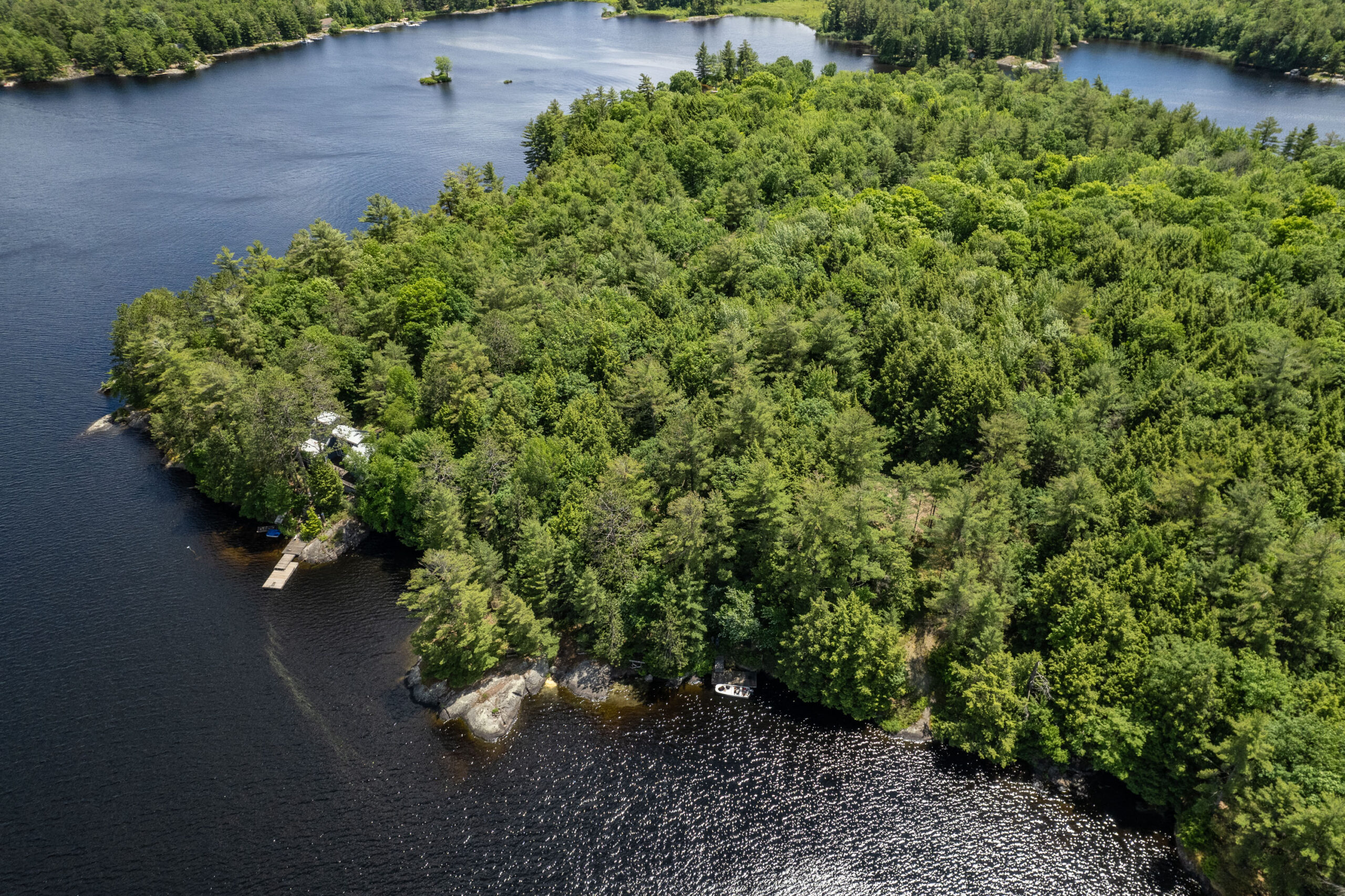 Forested shoreline and Kahshe Lake inlets