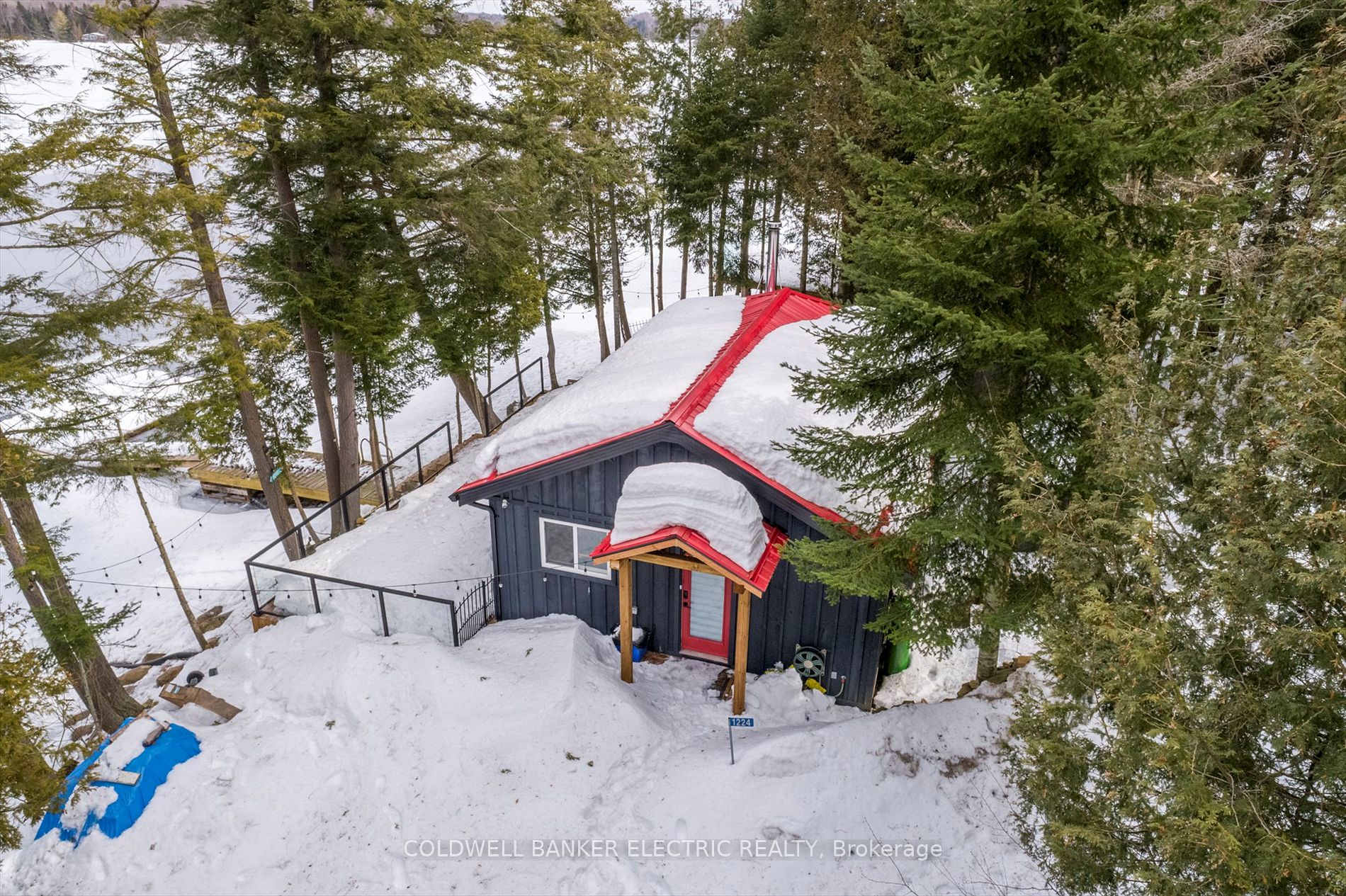 Overhead view of home surrounded by trees