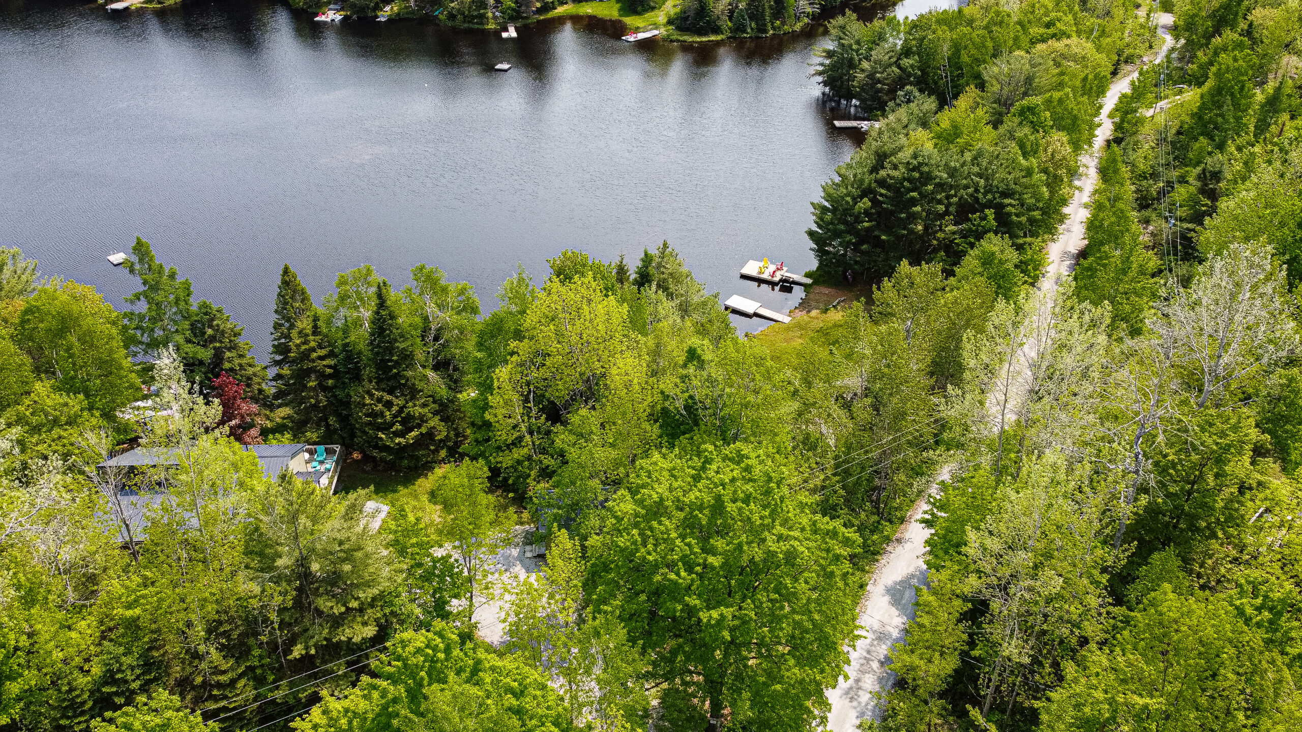 A gravel road leads from a forested area to the waterfront
