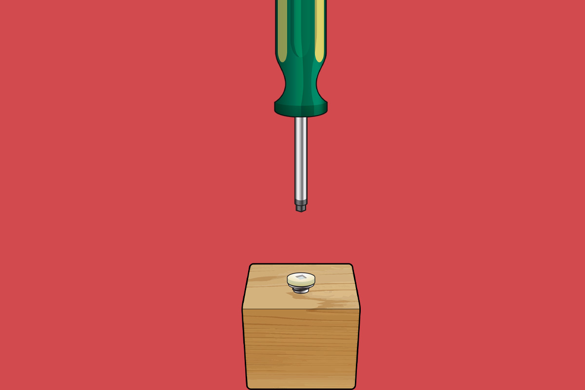 A screwdriver and screw