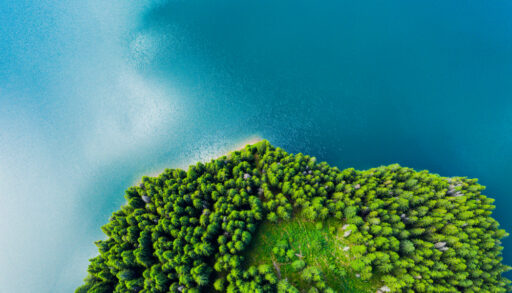 A forested lake, photographed from above
