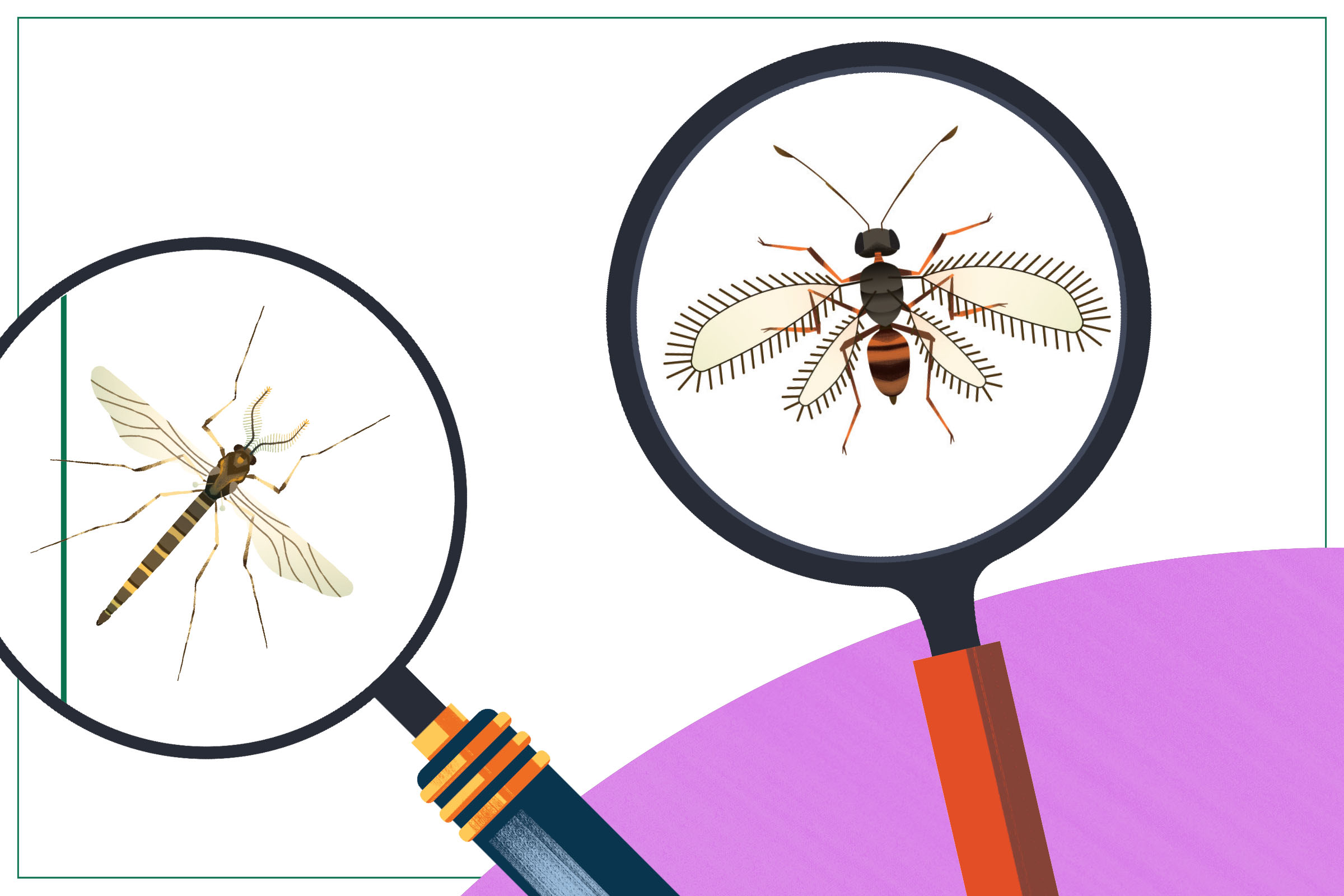 A cottage with a covered patio. In front, a spacious green yard