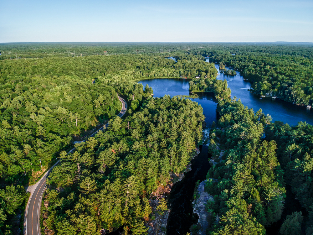 Aerial view of winding highway road and fresh water lake surrounded by coniferous forests going to horizon, sunny summer day. Northern Ontario, Canada. Shot from the air with drone. remote connectivity
