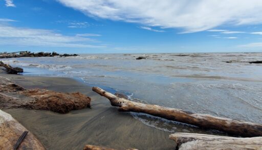 Great Lake Shoreline
