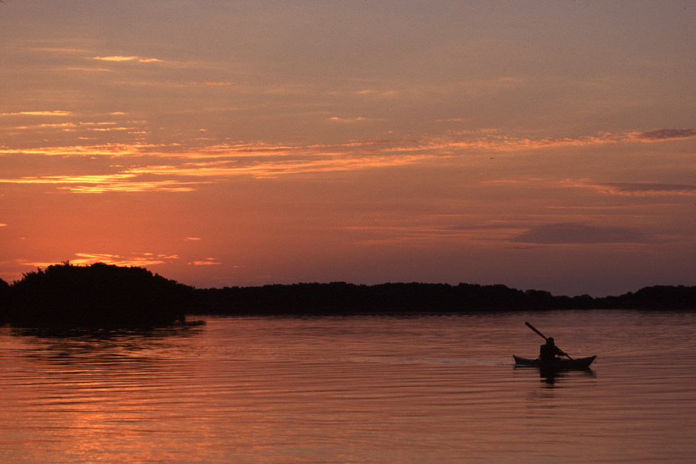 A Person Paddling a Kayak