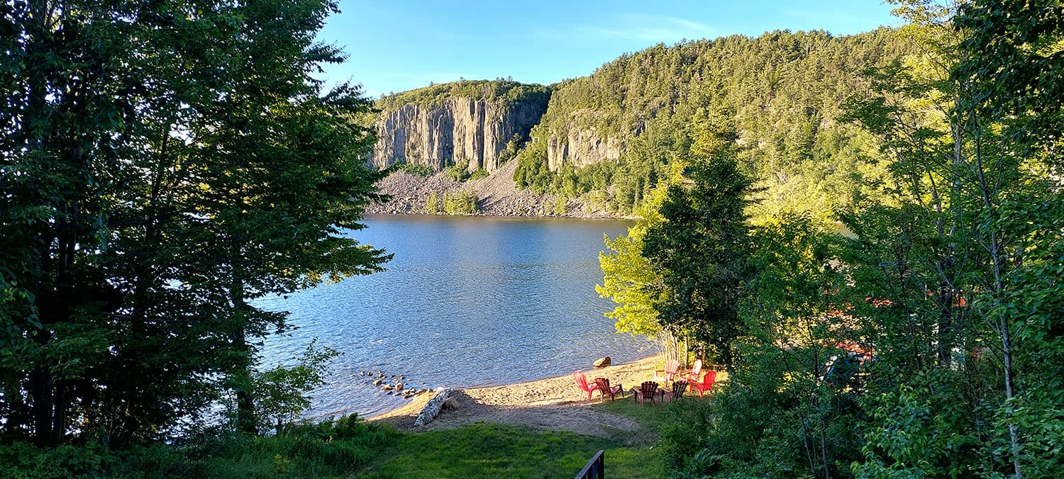A lakeside beach in the forest