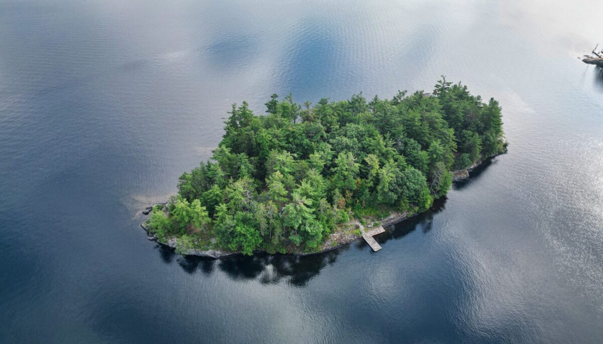 A small island with lush green trees in the middle of a lake