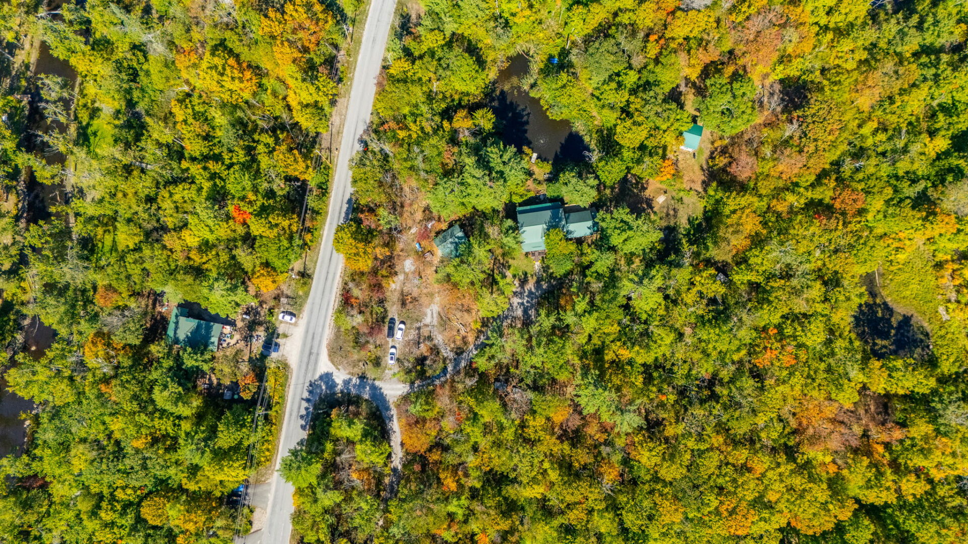 Aerial view of log home, cabins, and forest canopy surrounding a pond and private driveway in Trent Lakes