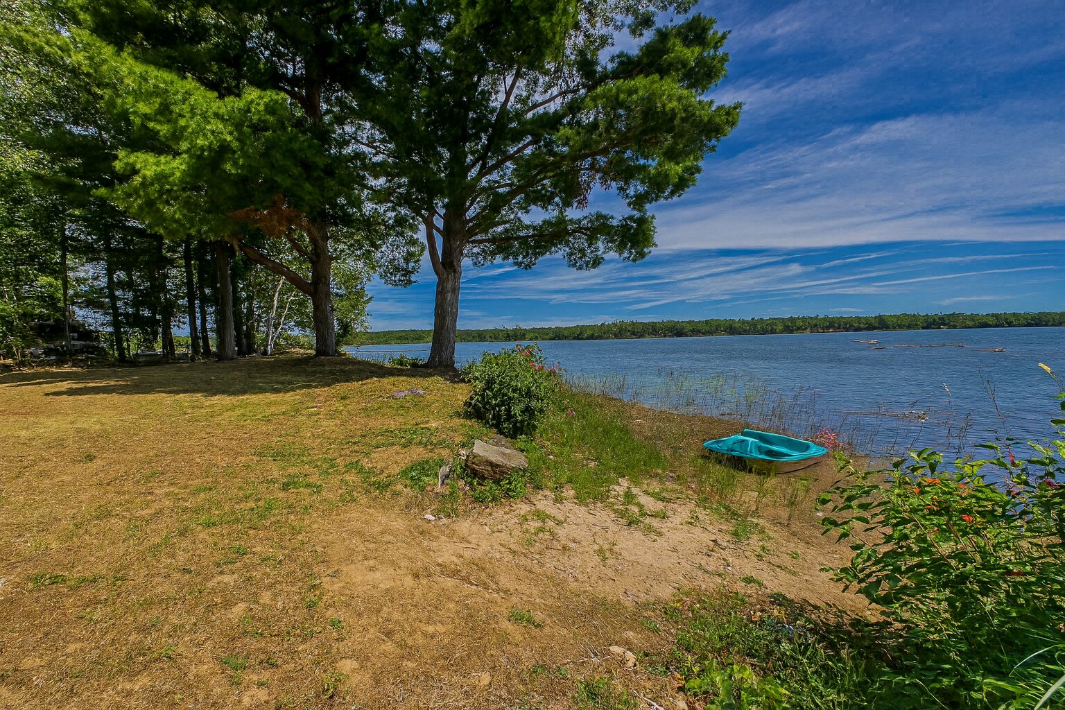 A grassy area next to the lake