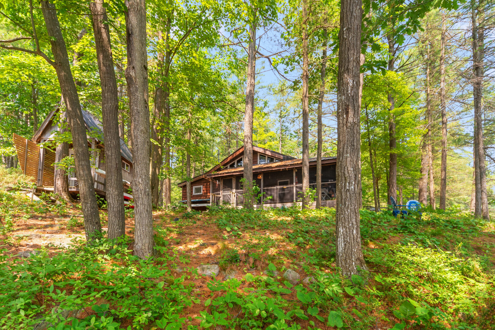 A cottage nestled in a wooded area