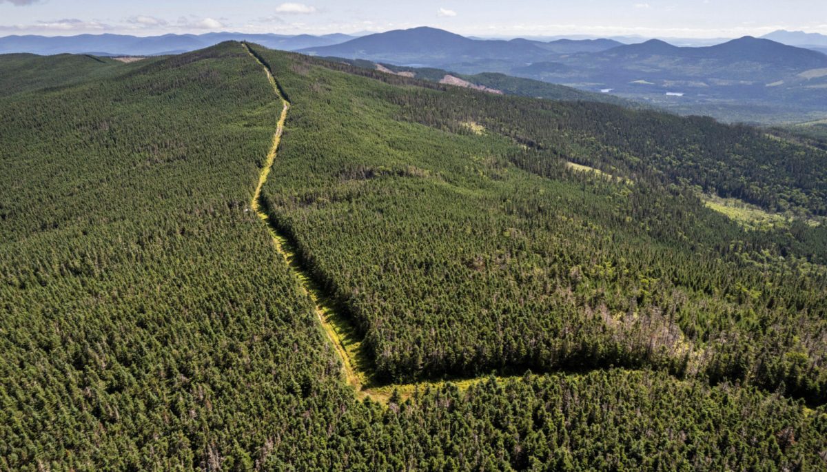 Many portions of the U.S.–Canada border are simple cuts made through thick forest, including this one, slicing through Maine and Quebec.
