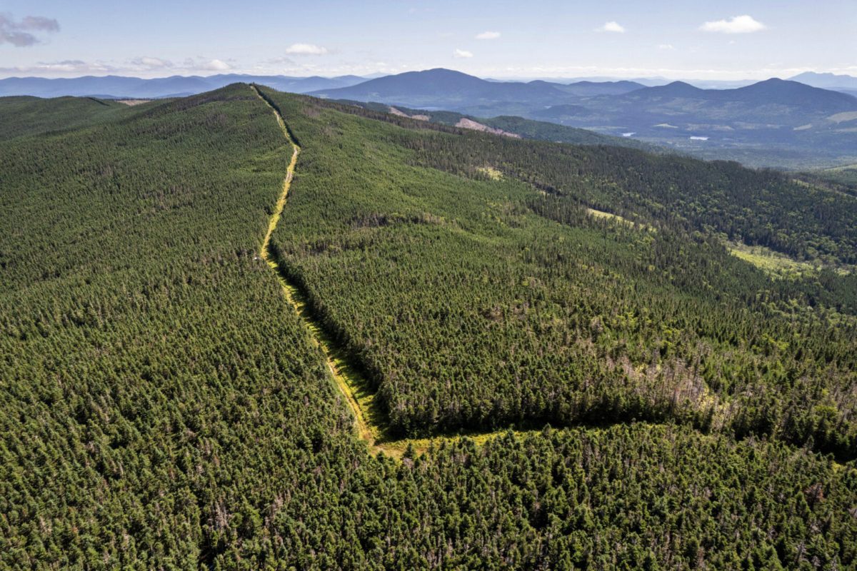 Many portions of the U.S.–Canada border are simple cuts made through thick forest, including this one, slicing through Maine and Quebec.