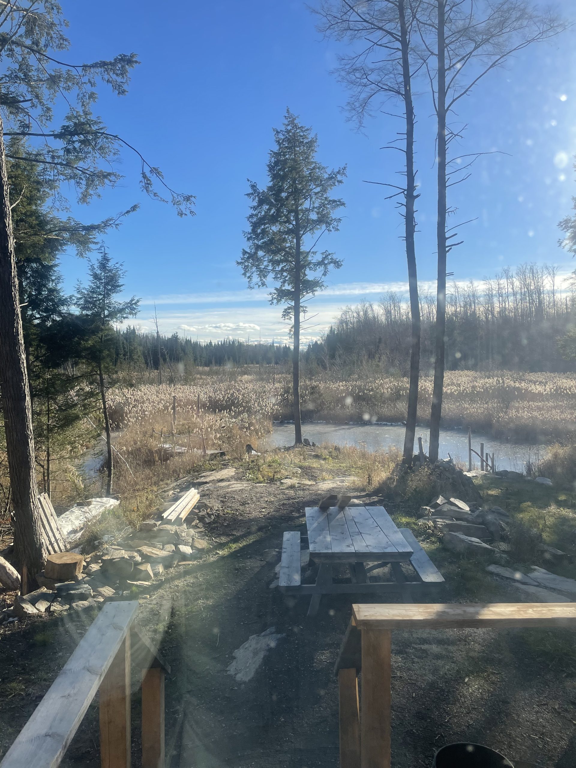 A wood balcony looks out onto the cottage property